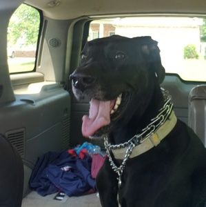 Meet your Posher, Brooke